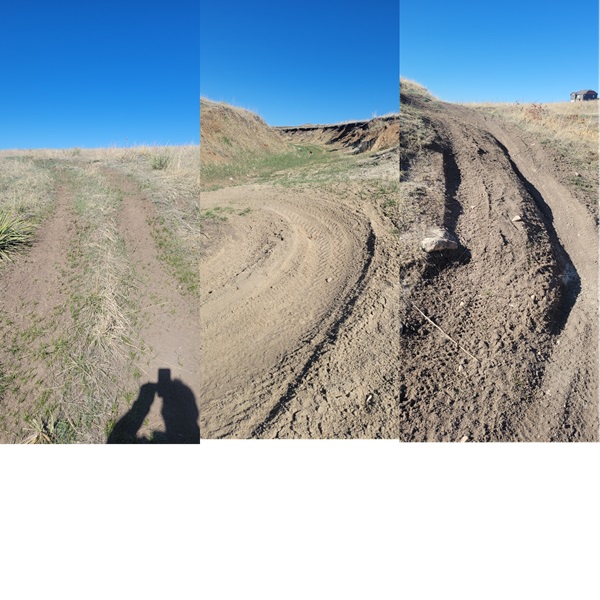 Wild Pointe Ranch Homeowners Association